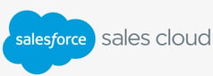 67-672262_salesforce-sales-cloud-capture-your-lead-data-access-1
