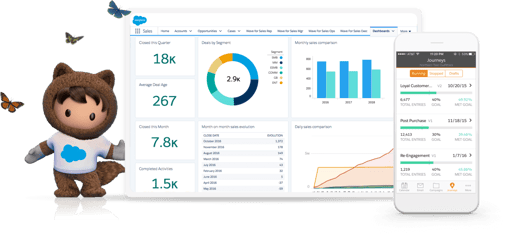 Salesforce Software for Businesses