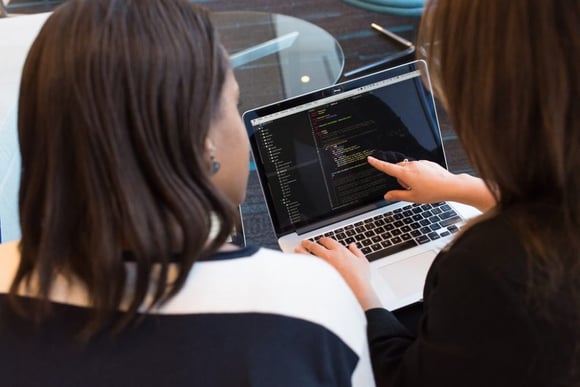 software consultant